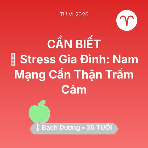 Vận hạn Bạch Dương sinh năm 1991 trong năm (2026): 🛑 Stress Gia Đình: Nam Mạng Bạch Dương Cẩn Thận Trầm Cảm