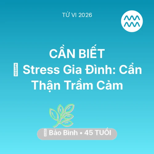 Xem tử vi Bảo Bình sinh năm 1981 : 🛑 Stress Gia Đình: Bảo Bình Cẩn Thận Trầm Cảm