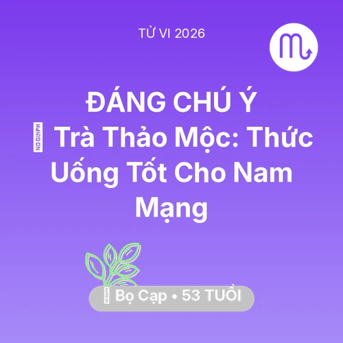 Vận hạn Bọ Cạp sinh năm 1973 trong năm (2026): 🍵 Trà Thảo Mộc: Thức Uống Tốt Cho Nam Mạng Bọ Cạp