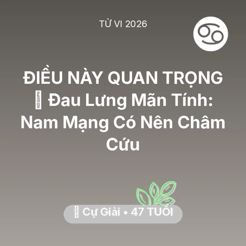 Vận hạn Cự Giải sinh năm 1979 trong năm (2026): 👵 Đau Lưng Mãn Tính: Nam Mạng Cự Giải Có Nên Châm Cứu