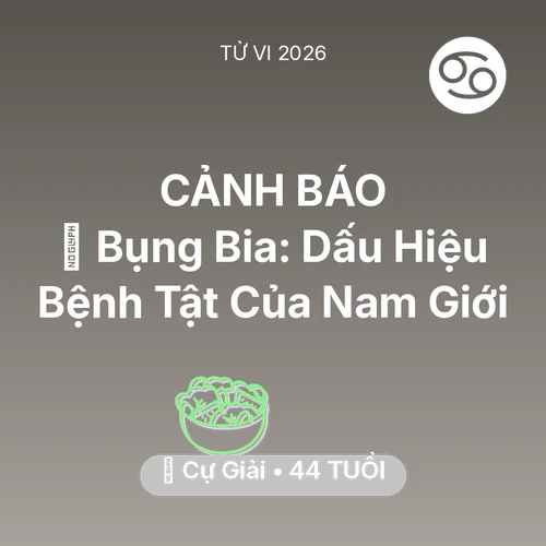 Vận hạn Cự Giải sinh năm 1982 trong năm (2026): 👔 Bụng Bia: Dấu Hiệu Bệnh Tật Của Cự Giải Nam Giới