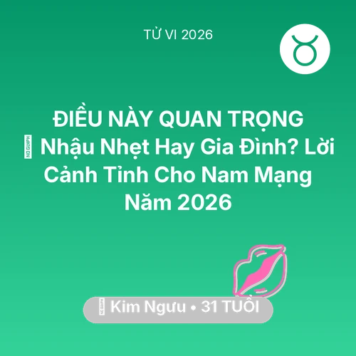 Vận hạn Kim Ngưu sinh năm 1995 trong năm (2026): 🍺 Nhậu Nhẹt Hay Gia Đình? Lời Cảnh Tỉnh Cho Nam Mạng Kim Ngưu Năm 2026