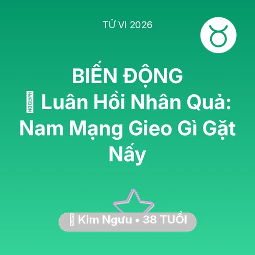Vận hạn Kim Ngưu sinh năm 1988 trong năm (2026): 🕊️ Luân Hồi Nhân Quả: Nam Mạng Kim Ngưu Gieo Gì Gặt Nấy