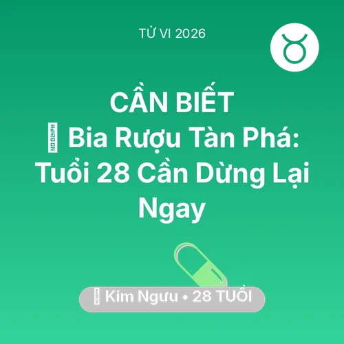 Xem tử vi Kim Ngưu sinh năm 1998 : 🍻 Bia Rượu Tàn Phá: Kim Ngưu Tuổi 28 Cần Dừng Lại Ngay