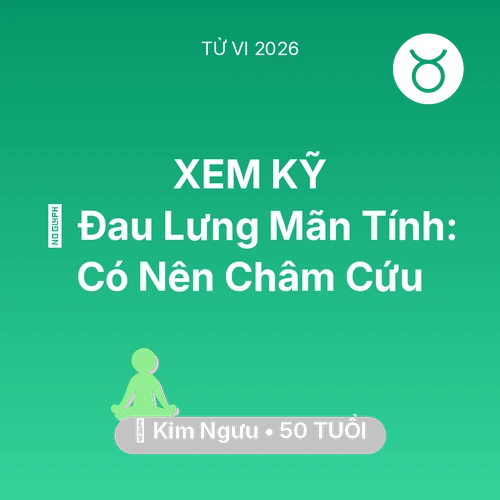 Tử vi Kim Ngưu sinh năm 1976 trong năm 2026: 👵 Đau Lưng Mãn Tính: Kim Ngưu Có Nên Châm Cứu