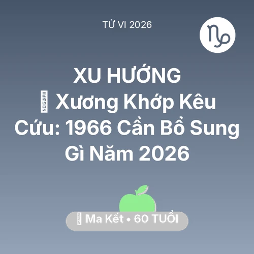 Xem tử vi Ma Kết sinh năm 1966 : 🦴 Xương Khớp Kêu Cứu: Ma Kết 1966 Cần Bổ Sung Gì Năm 2026