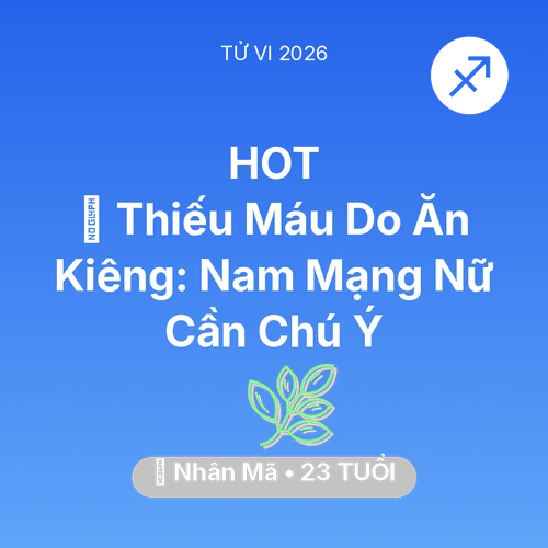 Vận hạn Nhân Mã sinh năm 2003 trong năm (2026): 🩸 Thiếu Máu Do Ăn Kiêng: Nam Mạng Nhân Mã Nữ Cần Chú Ý