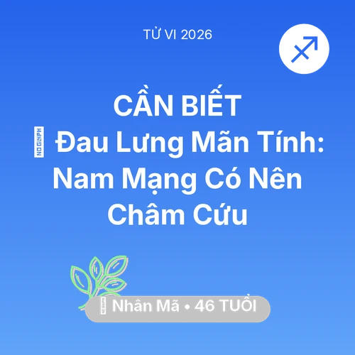 Vận hạn Nhân Mã sinh năm 1980 trong năm (2026): 👵 Đau Lưng Mãn Tính: Nam Mạng Nhân Mã Có Nên Châm Cứu