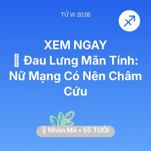 Vận hạn Nhân Mã sinh năm 1971 trong năm (2026): 👵 Đau Lưng Mãn Tính: Nữ Mạng Nhân Mã Có Nên Châm Cứu