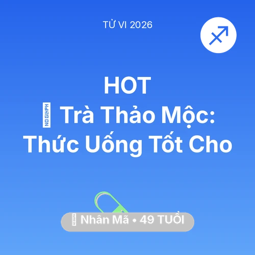 Tử vi Nhân Mã sinh năm 1977 trong năm 2026: 🍵 Trà Thảo Mộc: Thức Uống Tốt Cho Nhân Mã