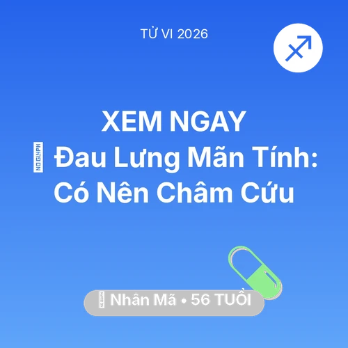 Vận hạn Nhân Mã sinh năm 1970 trong năm (2026): 👵 Đau Lưng Mãn Tính: Nhân Mã Có Nên Châm Cứu