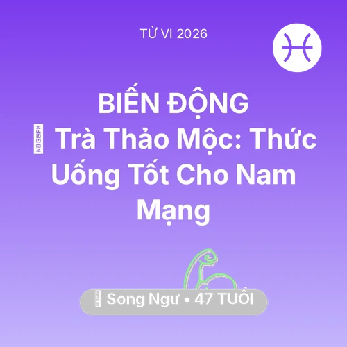 Vận hạn Song Ngư sinh năm 1979 trong năm (2026): 🍵 Trà Thảo Mộc: Thức Uống Tốt Cho Nam Mạng Song Ngư