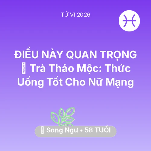 Vận hạn Song Ngư sinh năm 1968 trong năm (2026): 🍵 Trà Thảo Mộc: Thức Uống Tốt Cho Nữ Mạng Song Ngư