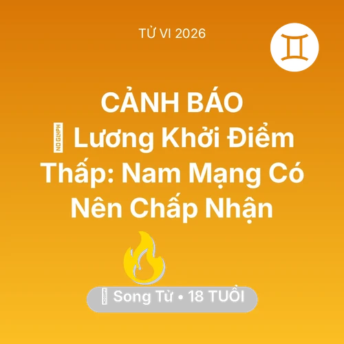 Tử vi Song Tử sinh năm 2008 trong năm 2026: 📉 Lương Khởi Điểm Thấp: Nam Mạng Song Tử Có Nên Chấp Nhận