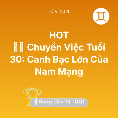Tử vi Song Tử sinh năm 1995 trong năm 2026: 🏃‍♂️ Chuyển Việc Tuổi 30: Canh Bạc Lớn Của Nam Mạng Song Tử