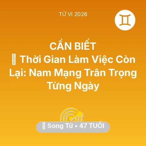 Vận hạn Song Tử sinh năm 1979 trong năm (2026): ⏳ Thời Gian Làm Việc Còn Lại: Nam Mạng Song Tử Trân Trọng Từng Ngày