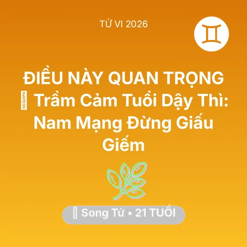 Tử vi Song Tử sinh năm 2005 trong năm 2026: 📉 Trầm Cảm Tuổi Dậy Thì: Nam Mạng Song Tử Đừng Giấu Giếm