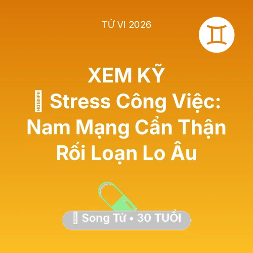 Tử vi Song Tử sinh năm 1996 trong năm 2026: 📉 Stress Công Việc: Nam Mạng Song Tử Cẩn Thận Rối Loạn Lo Âu