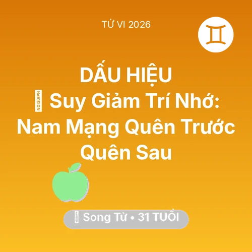 Vận hạn Song Tử sinh năm 1995 trong năm (2026): 🧠 Suy Giảm Trí Nhớ: Nam Mạng Song Tử Quên Trước Quên Sau