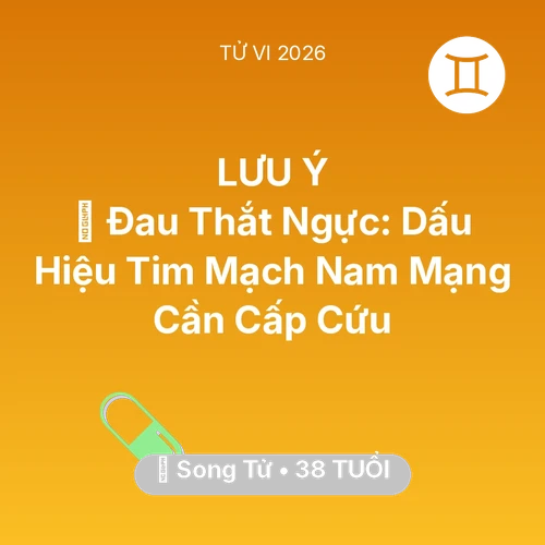 Vận hạn Song Tử sinh năm 1988 trong năm (2026): 🆘 Đau Thắt Ngực: Dấu Hiệu Tim Mạch Nam Mạng Song Tử Cần Cấp Cứu