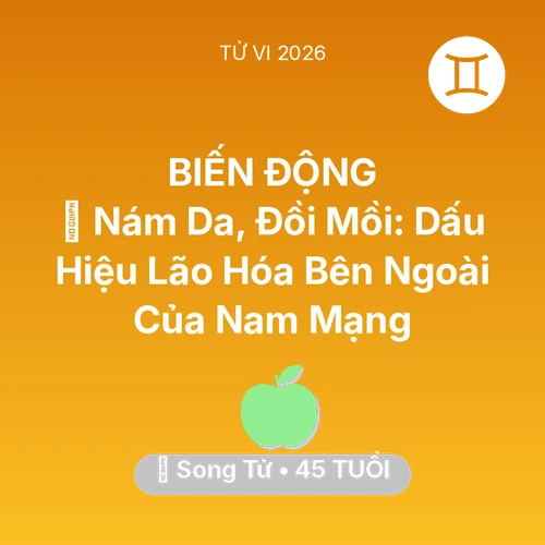 Tử vi Song Tử sinh năm 1981 trong năm 2026: 👵 Nám Da, Đồi Mồi: Dấu Hiệu Lão Hóa Bên Ngoài Của Nam Mạng Song Tử