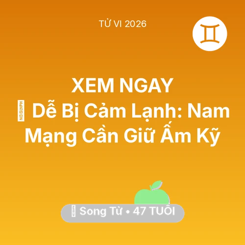 Vận hạn Song Tử sinh năm 1979 trong năm (2026): 🥶 Dễ Bị Cảm Lạnh: Nam Mạng Song Tử Cần Giữ Ấm Kỹ