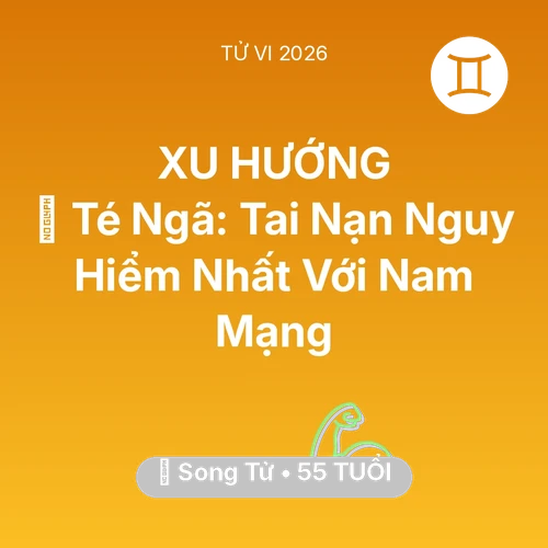 Vận hạn Song Tử sinh năm 1971 trong năm (2026): 🏥 Té Ngã: Tai Nạn Nguy Hiểm Nhất Với Nam Mạng Song Tử
