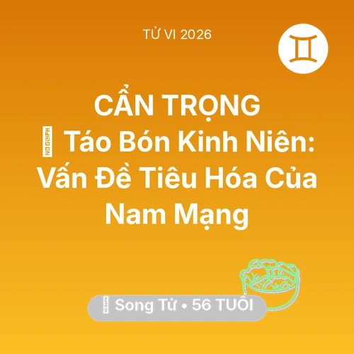 Vận hạn Song Tử sinh năm 1970 trong năm (2026): 🆘 Táo Bón Kinh Niên: Vấn Đề Tiêu Hóa Của Nam Mạng Song Tử