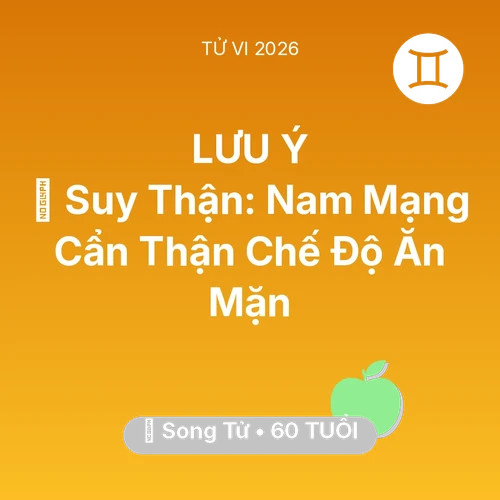 Vận hạn Song Tử sinh năm 1966 trong năm (2026): 📉 Suy Thận: Nam Mạng Song Tử Cẩn Thận Chế Độ Ăn Mặn