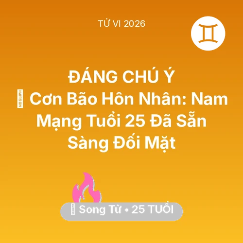 Vận hạn Song Tử sinh năm 2001 trong năm (2026): 🌪️ Cơn Bão Hôn Nhân: Nam Mạng Song Tử Tuổi 25 Đã Sẵn Sàng Đối Mặt