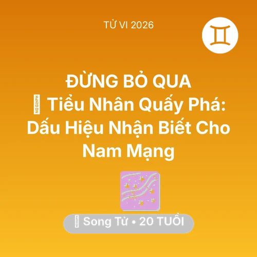 Vận hạn Song Tử sinh năm 2006 trong năm (2026): 👺 Tiểu Nhân Quấy Phá: Dấu Hiệu Nhận Biết Cho Nam Mạng Song Tử