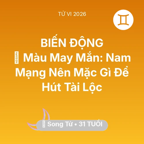 Vận hạn Song Tử sinh năm 1995 trong năm (2026): 🍀 Màu May Mắn: Nam Mạng Song Tử Nên Mặc Gì Để Hút Tài Lộc