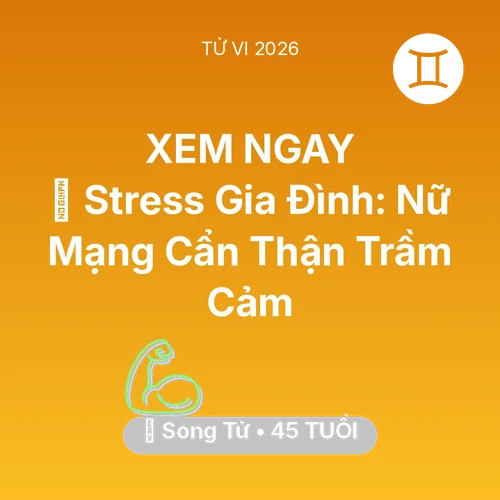 Vận hạn Song Tử sinh năm 1981 trong năm (2026): 🛑 Stress Gia Đình: Nữ Mạng Song Tử Cẩn Thận Trầm Cảm