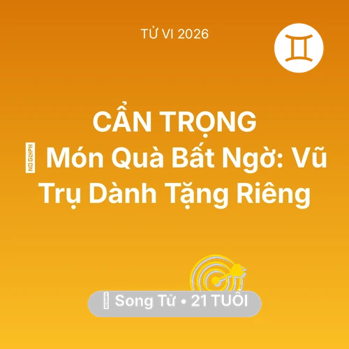 Vận hạn Song Tử sinh năm 2005 trong năm (2026): 🎁 Món Quà Bất Ngờ: Vũ Trụ Dành Tặng Riêng Song Tử