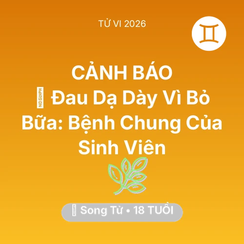 Xem tử vi Song Tử sinh năm 2008 : 🤕 Đau Dạ Dày Vì Bỏ Bữa: Bệnh Chung Của Song Tử Sinh Viên