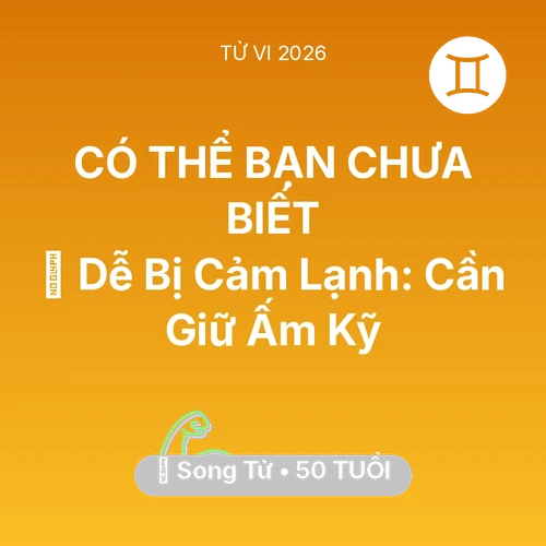 Tử vi Song Tử sinh năm 1976 trong năm 2026: 🥶 Dễ Bị Cảm Lạnh: Song Tử Cần Giữ Ấm Kỹ