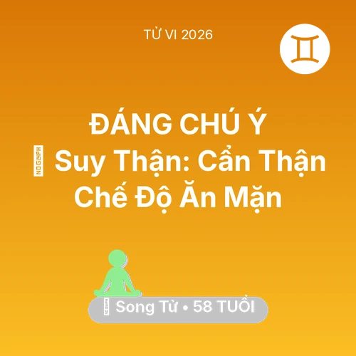 Tử vi Song Tử sinh năm 1968 trong năm 2026: 📉 Suy Thận: Song Tử Cẩn Thận Chế Độ Ăn Mặn