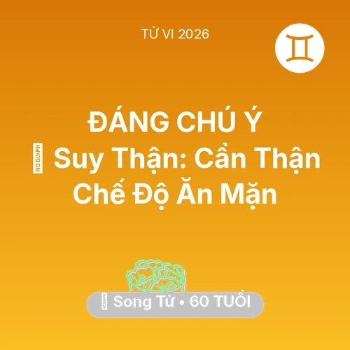 Xem tử vi Song Tử sinh năm 1966 : 📉 Suy Thận: Song Tử Cẩn Thận Chế Độ Ăn Mặn
