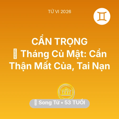 Vận hạn Song Tử sinh năm 1973 trong năm (2026): 🛑 Tháng Củ Mật: Song Tử Cẩn Thận Mất Của, Tai Nạn