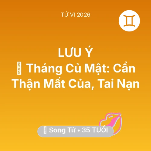 Vận hạn Song Tử sinh năm 1991 trong năm (2026): 🛑 Tháng Củ Mật: Song Tử Cẩn Thận Mất Của, Tai Nạn