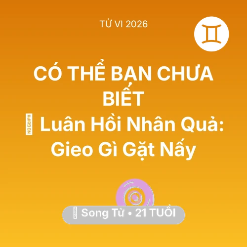 Vận hạn Song Tử sinh năm 2005 trong năm (2026): 🕊️ Luân Hồi Nhân Quả: Song Tử Gieo Gì Gặt Nấy