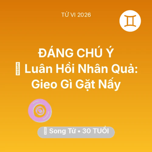 Xem tử vi Song Tử sinh năm 1996 : 🕊️ Luân Hồi Nhân Quả: Song Tử Gieo Gì Gặt Nấy