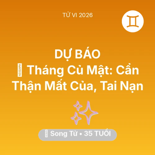 Vận hạn Song Tử sinh năm 1991 trong năm (2026): 🛑 Tháng Củ Mật: Song Tử Cẩn Thận Mất Của, Tai Nạn