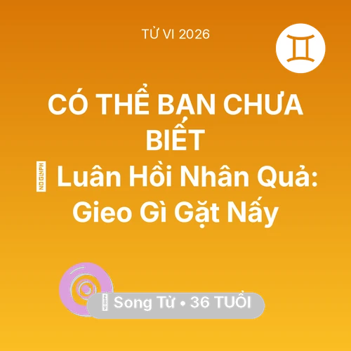Vận hạn Song Tử sinh năm 1990 trong năm (2026): 🕊️ Luân Hồi Nhân Quả: Song Tử Gieo Gì Gặt Nấy