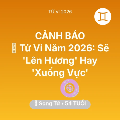 Vận hạn Song Tử sinh năm 1972 trong năm (2026): 🔥 Tử Vi Năm 2026: Song Tử Sẽ 'Lên Hương' Hay 'Xuống Vực'
