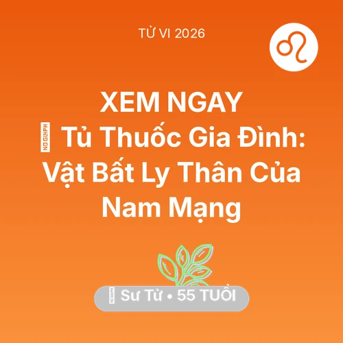 Vận hạn Sư Tử sinh năm 1971 trong năm (2026): 💊 Tủ Thuốc Gia Đình: Vật Bất Ly Thân Của Nam Mạng Sư Tử
