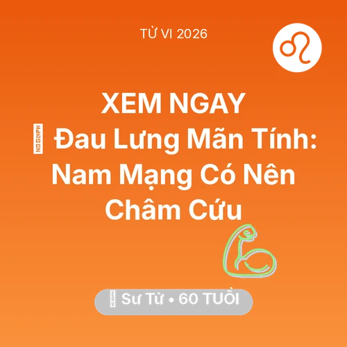 Vận hạn Sư Tử sinh năm 1966 trong năm (2026): 👵 Đau Lưng Mãn Tính: Nam Mạng Sư Tử Có Nên Châm Cứu