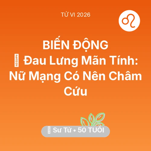 Vận hạn Sư Tử sinh năm 1976 trong năm (2026): 👵 Đau Lưng Mãn Tính: Nữ Mạng Sư Tử Có Nên Châm Cứu