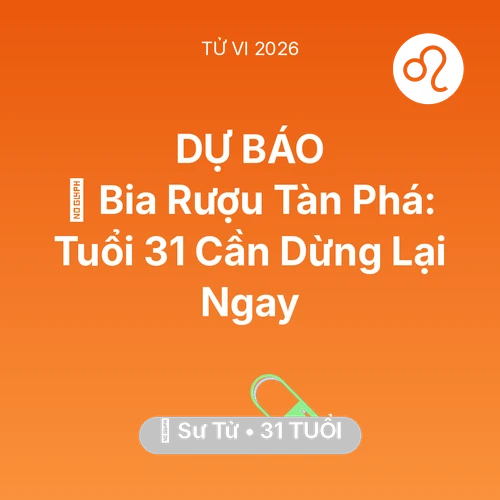 Vận hạn Sư Tử sinh năm 1995 trong năm (2026): 🍻 Bia Rượu Tàn Phá: Sư Tử Tuổi 31 Cần Dừng Lại Ngay