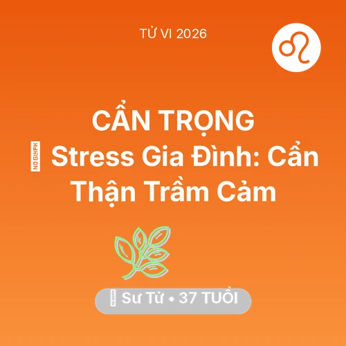 Vận hạn Sư Tử sinh năm 1989 trong năm (2026): 🛑 Stress Gia Đình: Sư Tử Cẩn Thận Trầm Cảm